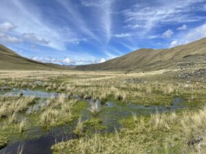 Water bodies with grassland ecosystems in the highlands of the Cordillera Blanca.