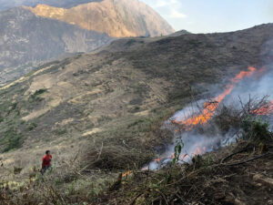 local burn practices in areas of Peru