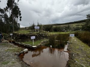 Community bioremediation site to treat water contaminated by heavy metals in the soil exposed by glacial retreat. Photo credit: Catherine Tucker